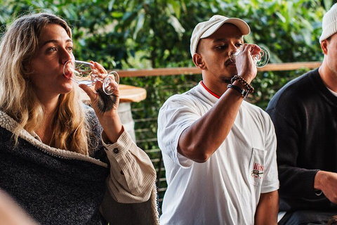 Full-Day Tour To Byron Bay Best Food And Drink Spots - Great Ocean Road Tourism 1