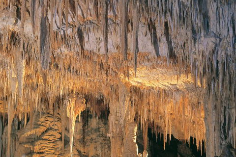 Margaret River, Caves, Wine And Cape Leeuwin Lighthouse Tour From Perth - Great Ocean Road Tourism 3