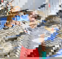 Pinnacles Desert Koalas and Sandboarding 4WD Day Tour from Perth - Great Ocean Road Tourism