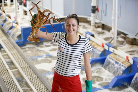 Pinnacles Desert, Koalas And Sandboarding 4WD Day Tour From Perth - Great Ocean Road Tourism 0