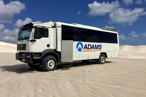 Pinnacles Desert, Koalas And Sandboarding 4WD Day Tour From Perth - Great Ocean Road Tourism 2