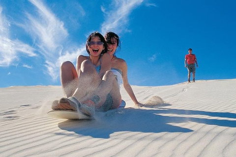Pinnacles Desert, Koalas And Sandboarding 4WD Day Tour From Perth - Great Ocean Road Tourism 3