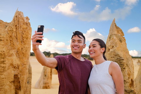 Pinnacles Desert, Koalas And Sandboarding 4WD Day Tour From Perth - Great Ocean Road Tourism 4