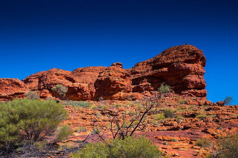 7-Day Guided Tour Of Alice Springs With Accommodation Included - Great Ocean Road Tourism 4