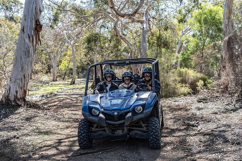 Small-Group Buggy Tour At Little Sahara With Guide - Great Ocean Road Tourism 0