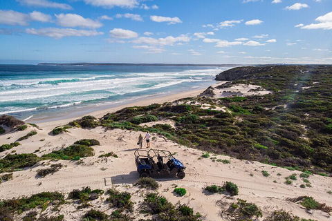 Small-Group Buggy Tour At Little Sahara With Guide - Great Ocean Road Tourism 1