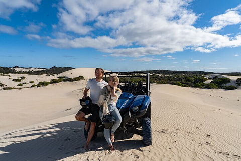 Small-Group Buggy Tour At Little Sahara With Guide - Great Ocean Road Tourism 2
