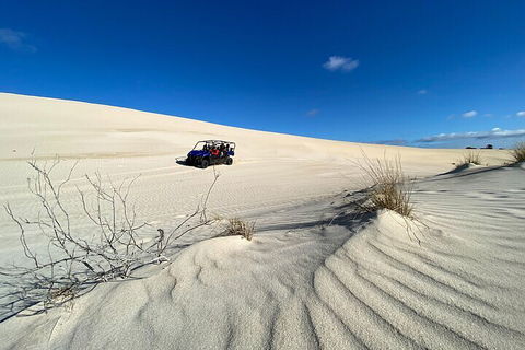 Small-Group Buggy Tour At Little Sahara With Guide - Great Ocean Road Tourism 3