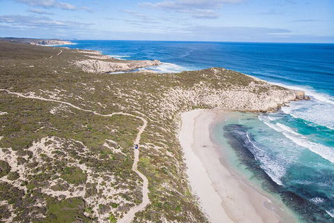 Small-Group Buggy Tour At Little Sahara With Guide - Great Ocean Road Tourism 4