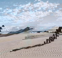 2-Hour Electric Fat Bike Tour in Kangaroo Island - Great Ocean Road Tourism