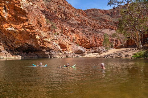 Private 9 Hour Walk And Waterhole Tour In West MacDonnell Ranges - Great Ocean Road Tourism 2