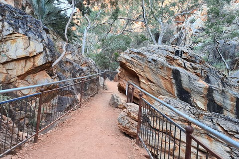 West MacDonnell Ranges Half-Day Private Charter Guided Tour - Great Ocean Road Tourism 0