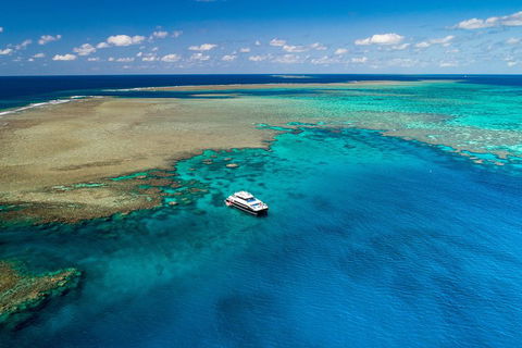 Calypso Outer Great Barrier Reef Cruise From Port Douglas - Great Ocean Road Tourism 1