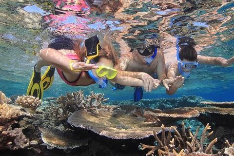 Calypso Outer Great Barrier Reef Cruise From Port Douglas - Great Ocean Road Tourism 3