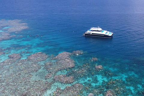Calypso Outer Great Barrier Reef Cruise From Port Douglas - Great Ocean Road Tourism 4