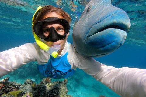 Calypso Outer Great Barrier Reef Cruise From Port Douglas - Great Ocean Road Tourism 5