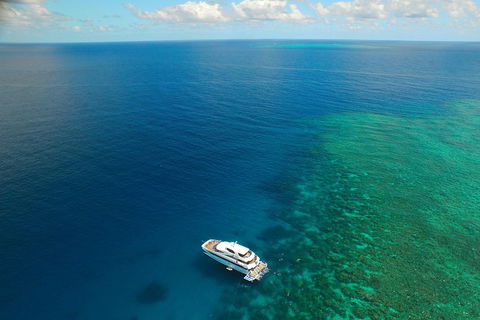 Great Barrier Reef Snorkeling And Diving Cruise From Cairns - Great Ocean Road Tourism 4