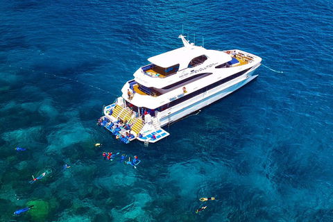 Great Barrier Reef Snorkeling And Diving Cruise From Cairns - Great Ocean Road Tourism 5