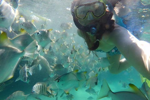 2-Day Moreton Island 4WD Camping Tour From Brisbane - Great Ocean Road Tourism 0