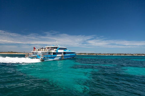 Perth To Rottnest Island Roundtrip Ferry Ticket - Great Ocean Road Tourism 4