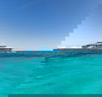 Rottnest Island Bayseeker Day Trip from Perth - Great Ocean Road Tourism