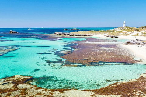 Rottnest Island Bayseeker Day Trip From Perth - Great Ocean Road Tourism 4
