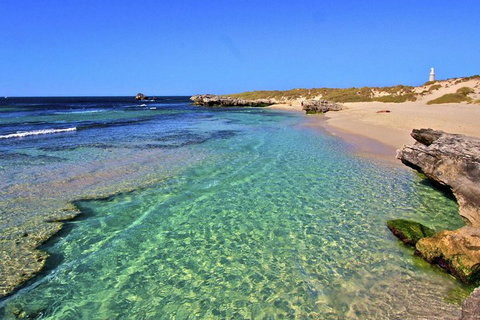 Rottnest Island Bayseeker Day Trip From Perth - Great Ocean Road Tourism 5
