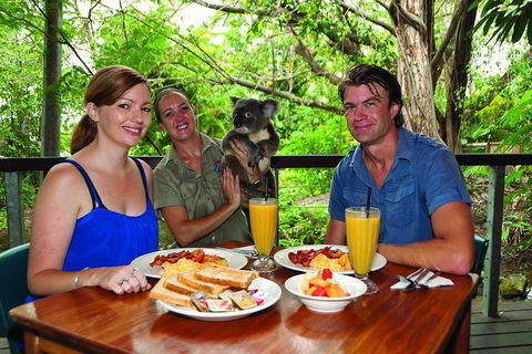 Breakfast With The Koalas At Hartley's Crocodile Park From Cairns Or Palm Cove - Great Ocean Road Tourism 0