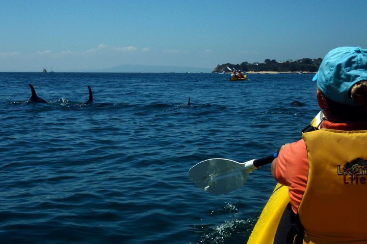 Great Ocean Road Tourism