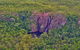 Litchfield Park & Daly River - Scenic Flight From Darwin - thumb 0