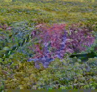 Litchfield Park  Daly River - Scenic Flight From Darwin - Great Ocean Road Tourism