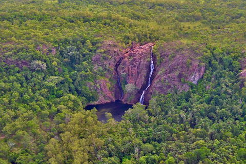 Litchfield Park & Daly River - Scenic Flight From Darwin - Great Ocean Road Tourism 0