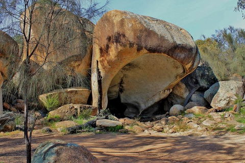 Wave Rock Half Day Air & Ground Tour - Great Ocean Road Tourism 1