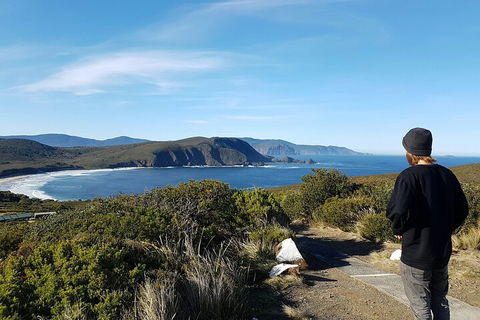 4-Day Fabulous Tasmania Tour: Wineglass Bay, Port Arthur, Devils & Bruny Island - Great Ocean Road Tourism 0