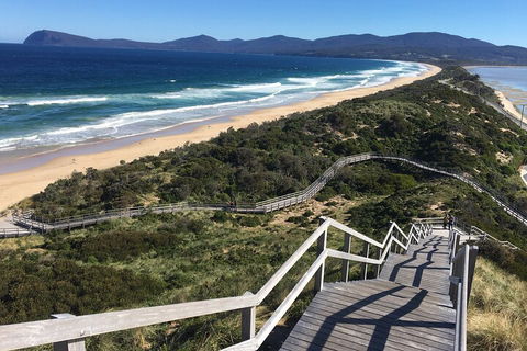 4-Day Fabulous Tasmania Tour: Wineglass Bay, Port Arthur, Devils & Bruny Island - Great Ocean Road Tourism 5