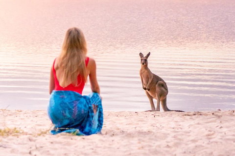 Serenity Cruise To Australia's Everglades - Great Ocean Road Tourism 3
