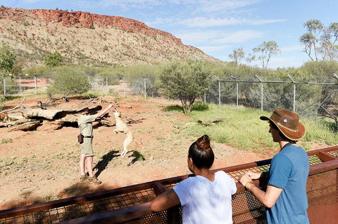 Alice Springs Desert Park General Entry Ticket - Great Ocean Road Tourism 4