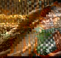 The Perth Mint Guided Heritage Tour and Gold Pour - Great Ocean Road Tourism