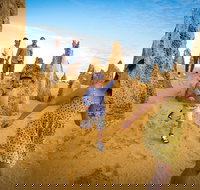 Full-Day Pinnacles Desert and Yanchep National Park Tour From Perth - Great Ocean Road Tourism