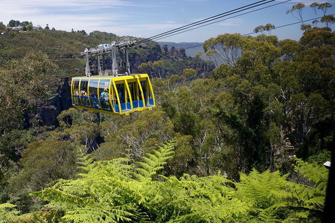 Go City | Sydney Explorer Pass With 20+ Attractions And Tours - Great Ocean Road Tourism 0