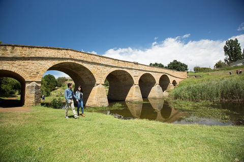 Bonorong Wildlife Park And Richmond Afternoon Tour From Hobart - Great Ocean Road Tourism 2