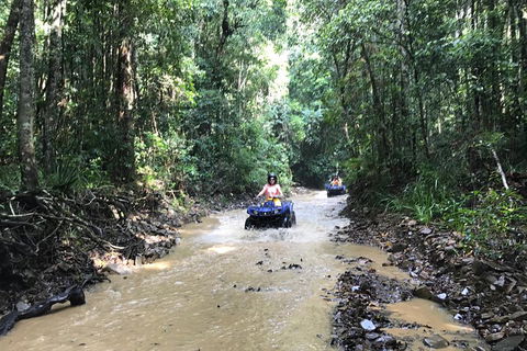 Cairns ATV Adventure Tour And Morning Train - Great Ocean Road Tourism 1