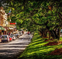Fully Inclusive Blue Mountains Private Tour inc Scenic World  Featherdale entry - Great Ocean Road Tourism