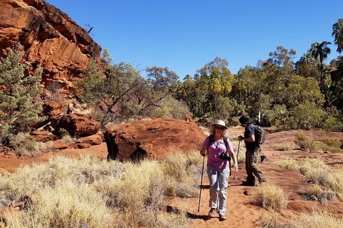 Palm Valley And Hermannsburg 1 Day 4WD Tour - Great Ocean Road Tourism 1