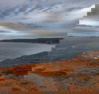 Kangaroo Island Luxury Small Group 'Flinders Chase Focus' Full Day Tour - Great Ocean Road Tourism