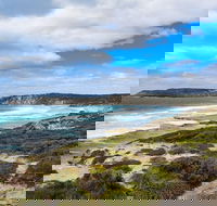Kangaroo Island Luxury Small Group 'East End Explorer' Full Day Tour - Great Ocean Road Tourism