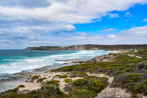 Kangaroo Island Luxury Small Group 'East End Explorer' Full Day Tour - Great Ocean Road Tourism 0