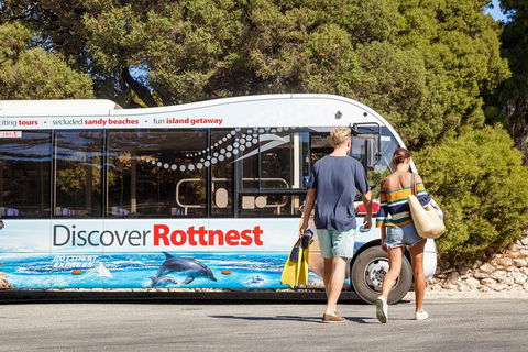 Discover Rottnest With Ferry & Bus Tour From Perth Or Fremantle - Great Ocean Road Tourism 1
