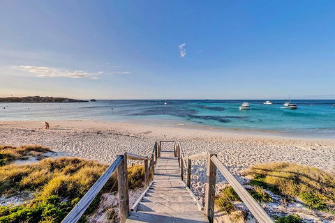 Discover Rottnest With Ferry & Bus Tour From Perth Or Fremantle - Great Ocean Road Tourism 4