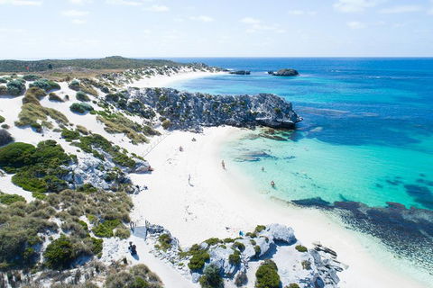 Discover Rottnest With Ferry & Bus Tour From Perth Or Fremantle - Great Ocean Road Tourism 5